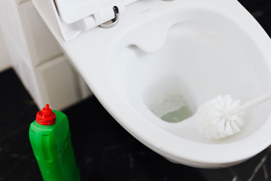 Bathroom & Toilet Brush